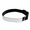 Personalised Large Dog Collar