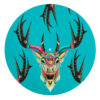 Colourful Stag Turntable Slipmats