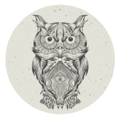 Owl Turntable Slipmats